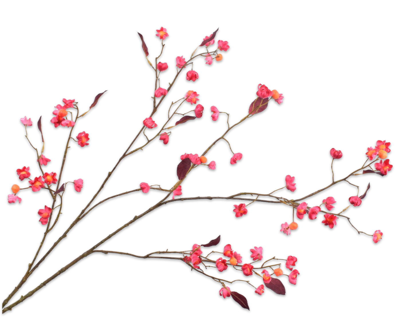Silk ka bessentak beauty