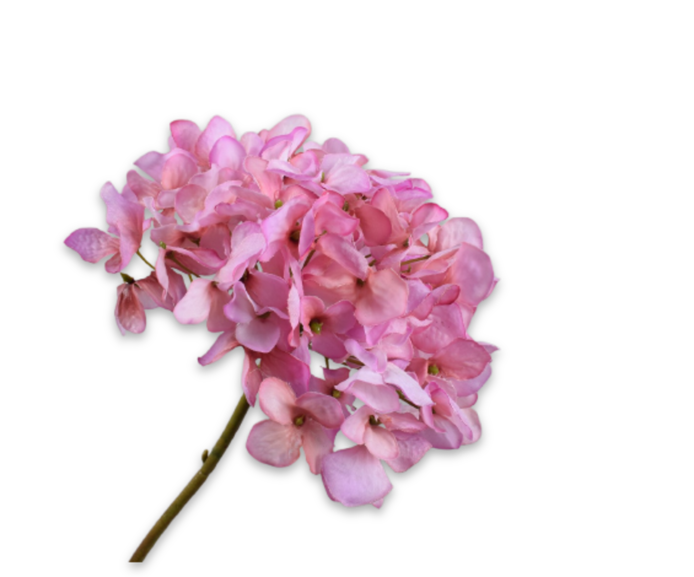 Silk ka hortensia steel roze