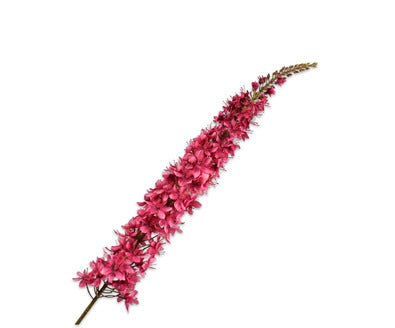 Silk ka eremurus roze