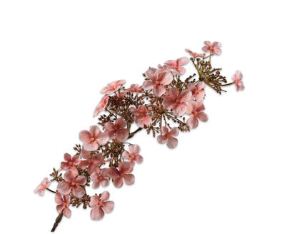 Silk ka hortensia tak perzik