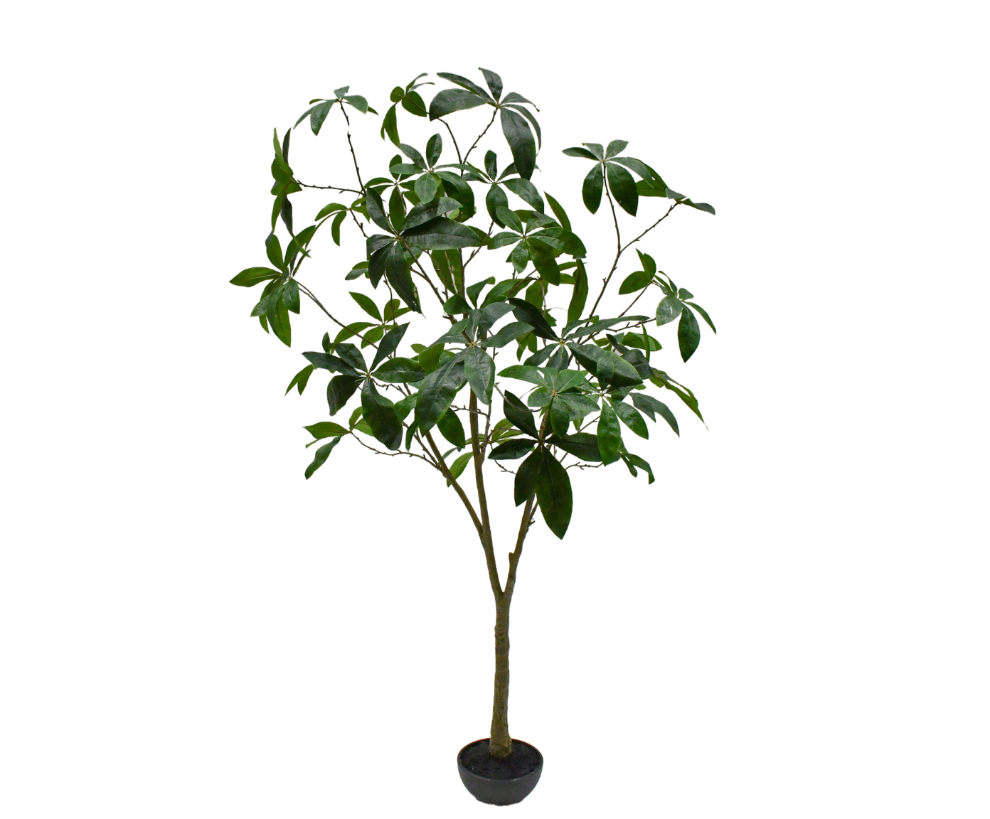 Silk ka boom Schefflera Groen 205 cm