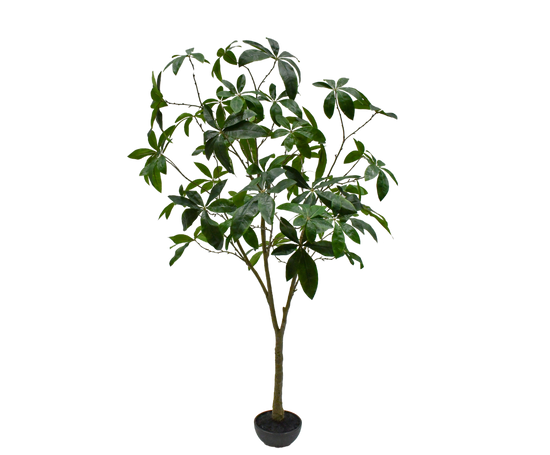 Silk ka boom Schefflera Groen 205 cm