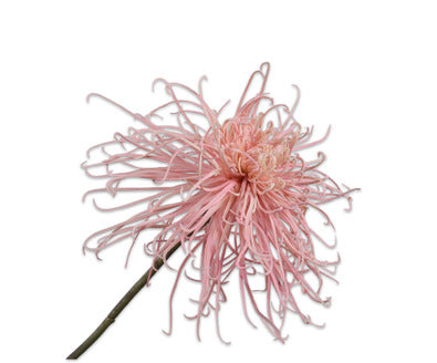 Silk ka chrysant roze