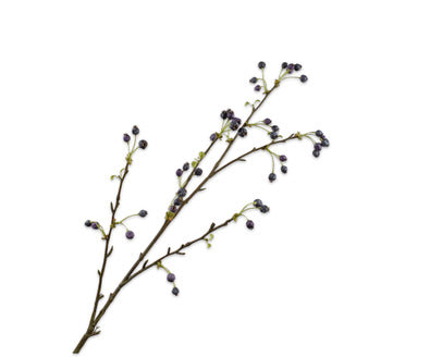 Silk ka bessentak blauw
