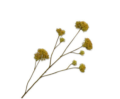 Silk ka mos tak groen/bruin