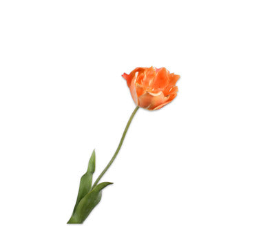 Silk ka tulp steel oranje