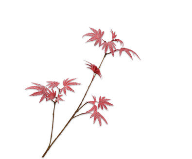 Silk ka esdoorntak rood
