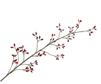 Silk ka rozenbottel rood