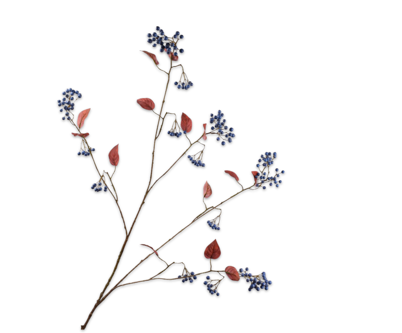 Silk ka bessentak blauw