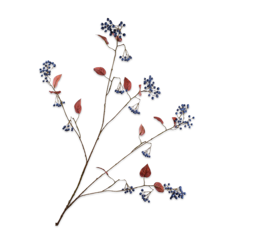 Silk ka bessentak blauw