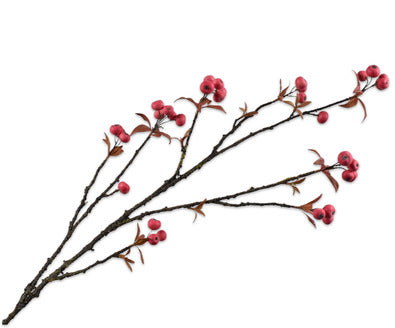 Silk ka appeltjestak