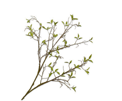 Silk ka wilgentak groen