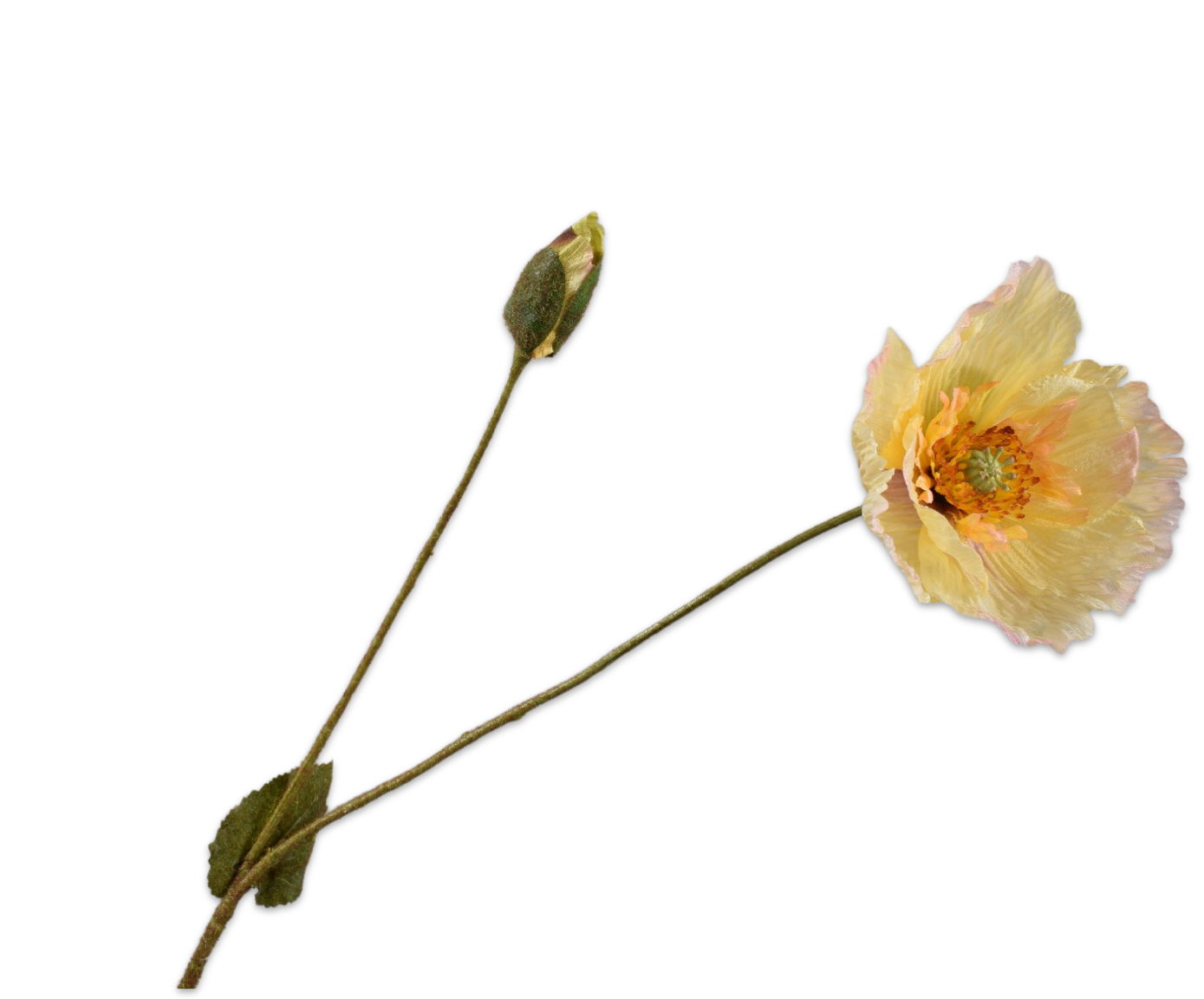 Silk ka klaproos lichtgeel