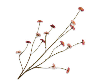 Silk ka chrysant tak