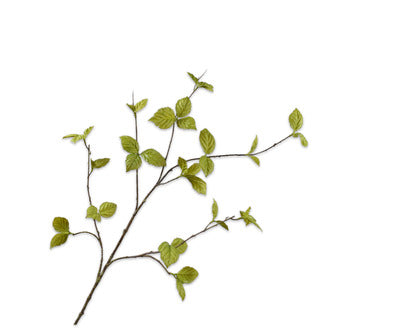 Silk ka bladtak groen