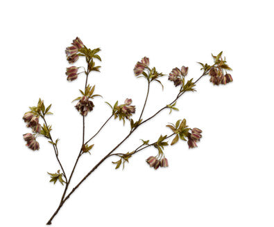 Silk ka campanula tak groen /bruin