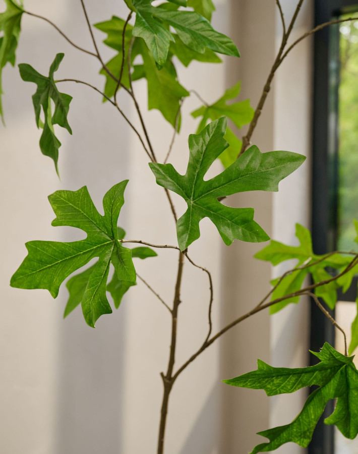 Silk ka schefflera