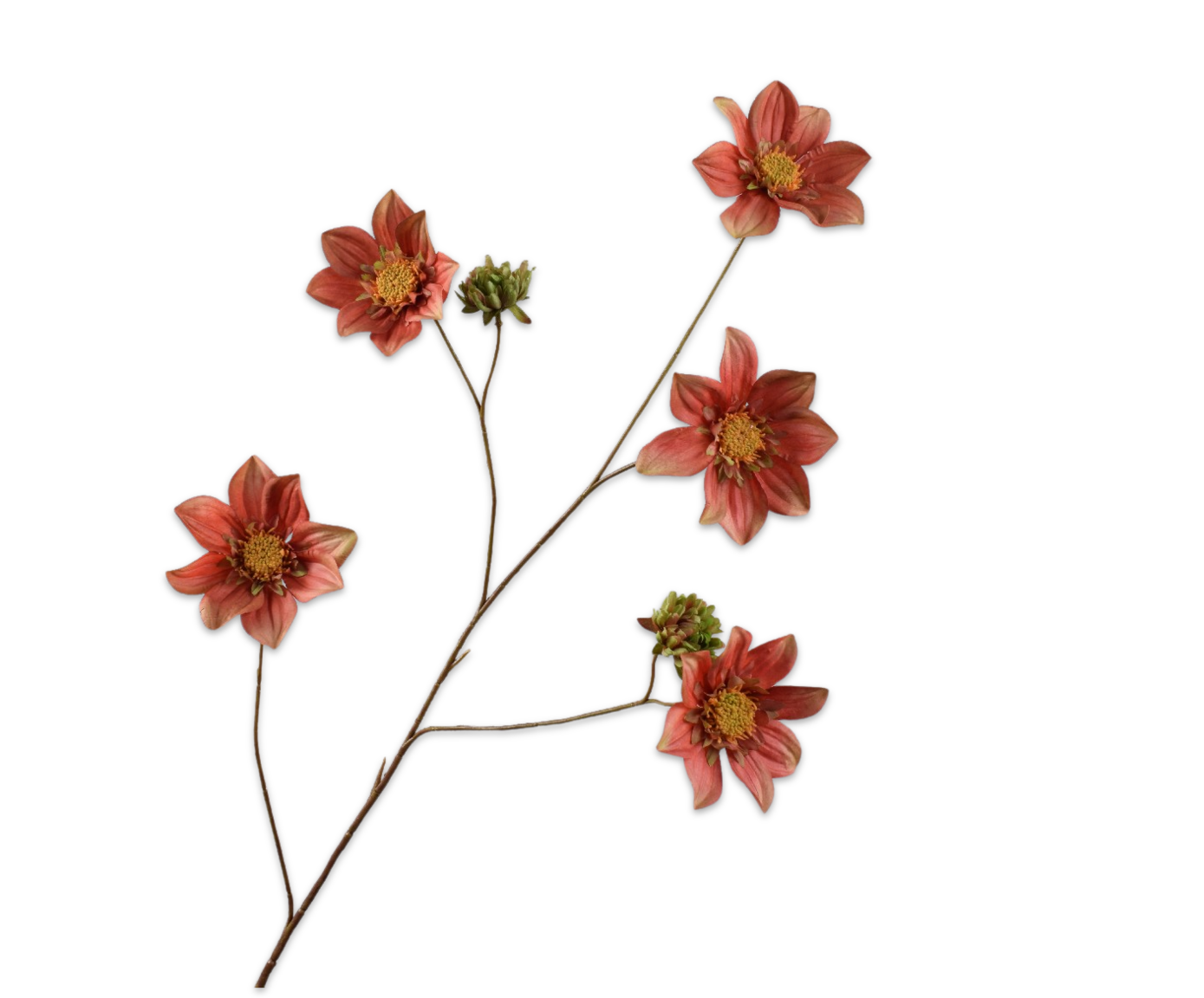 Silk ka dahlia tak bruin/groen