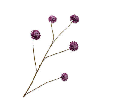 Silk ka chrysant paars