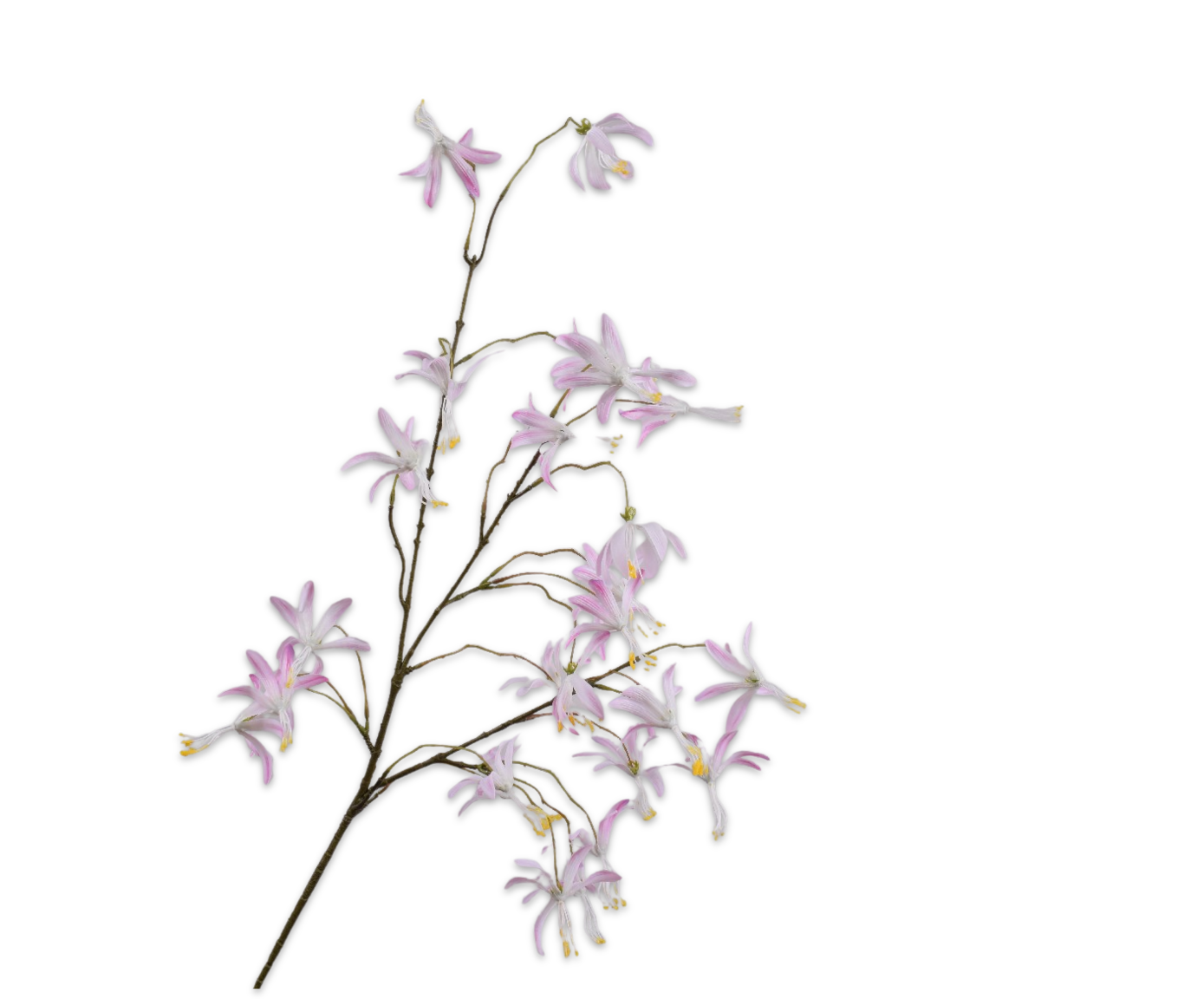Silk ka orchidee tak roze