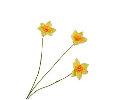 Silk ka narcis tak geel