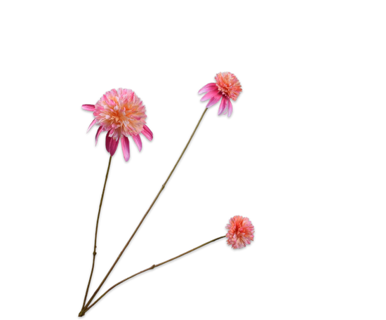 Silk ka rudbeckia tak roze