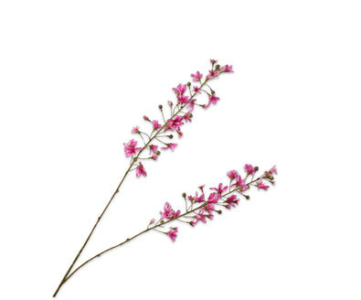 Silk ka hyacint tak beauty