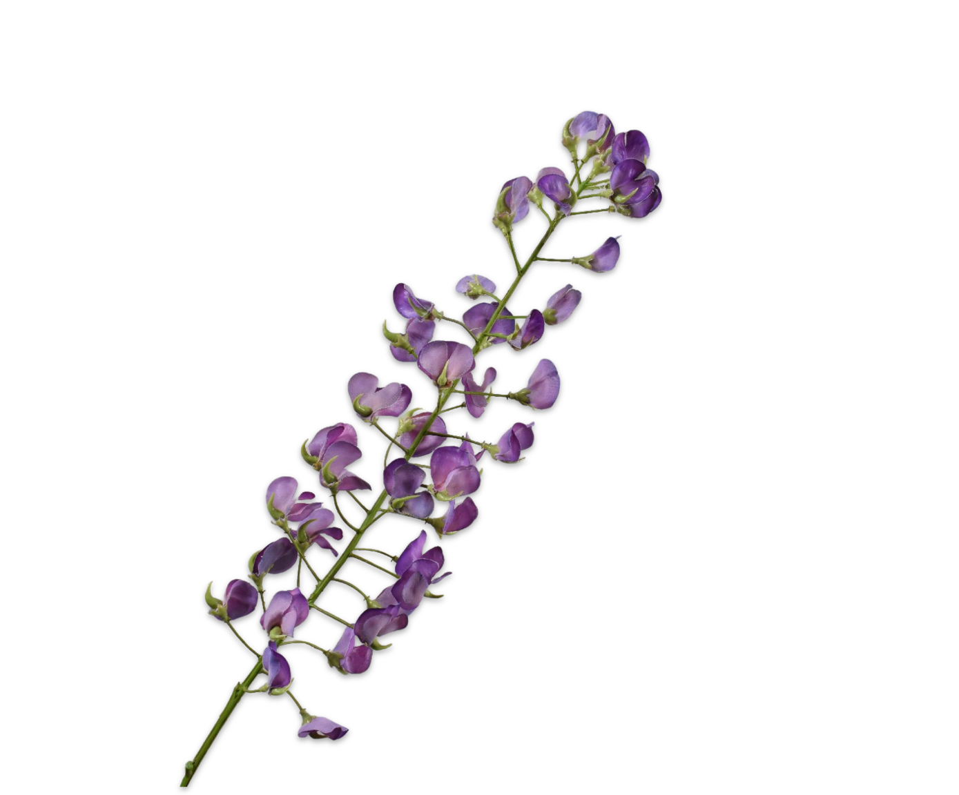 Silk ka lathyrus paars