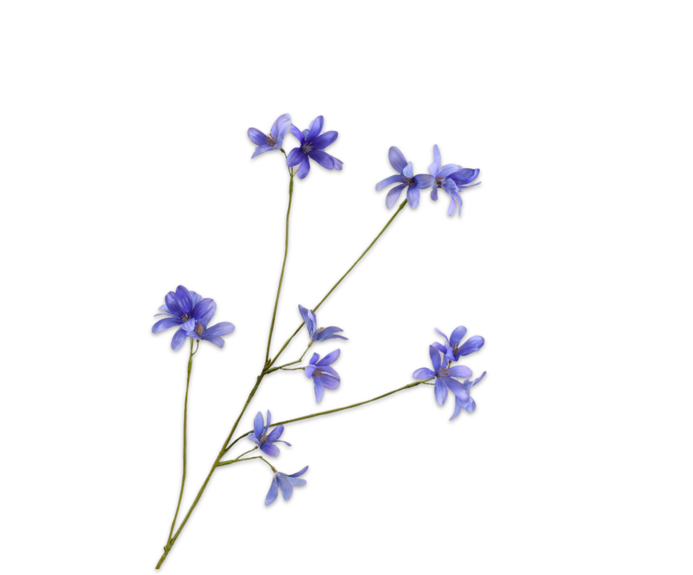 Silk ka hyacint tak blauw