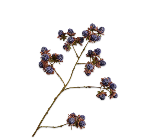 Silk ka braamtak blauw