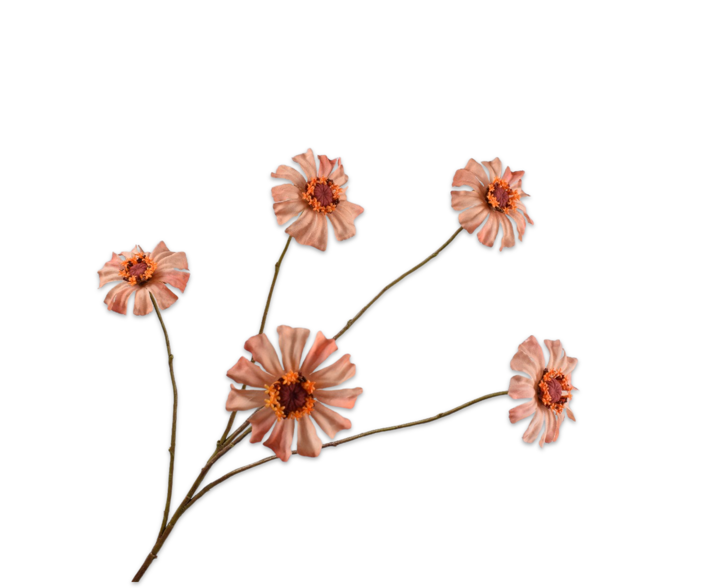 Silk ka zinnia zalm groot