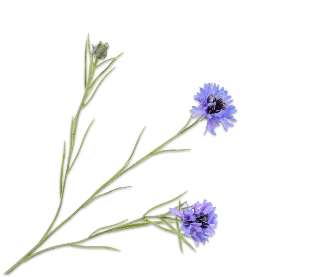 Silk ka korenbloem tak blauw