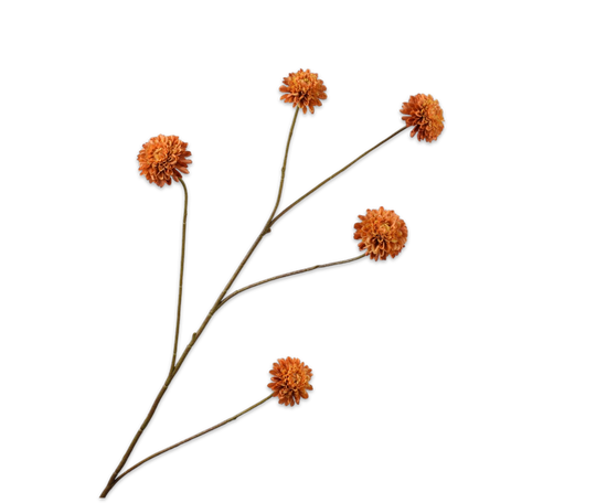Silk ka dahlia tak groot