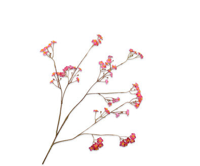 Silk ka vergeet me nietje roze