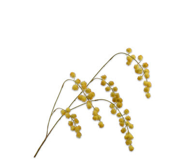 Silk ka mimosa tak geel/groen