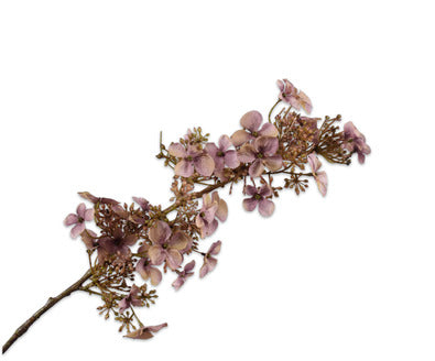 Silk ka hortensia tak