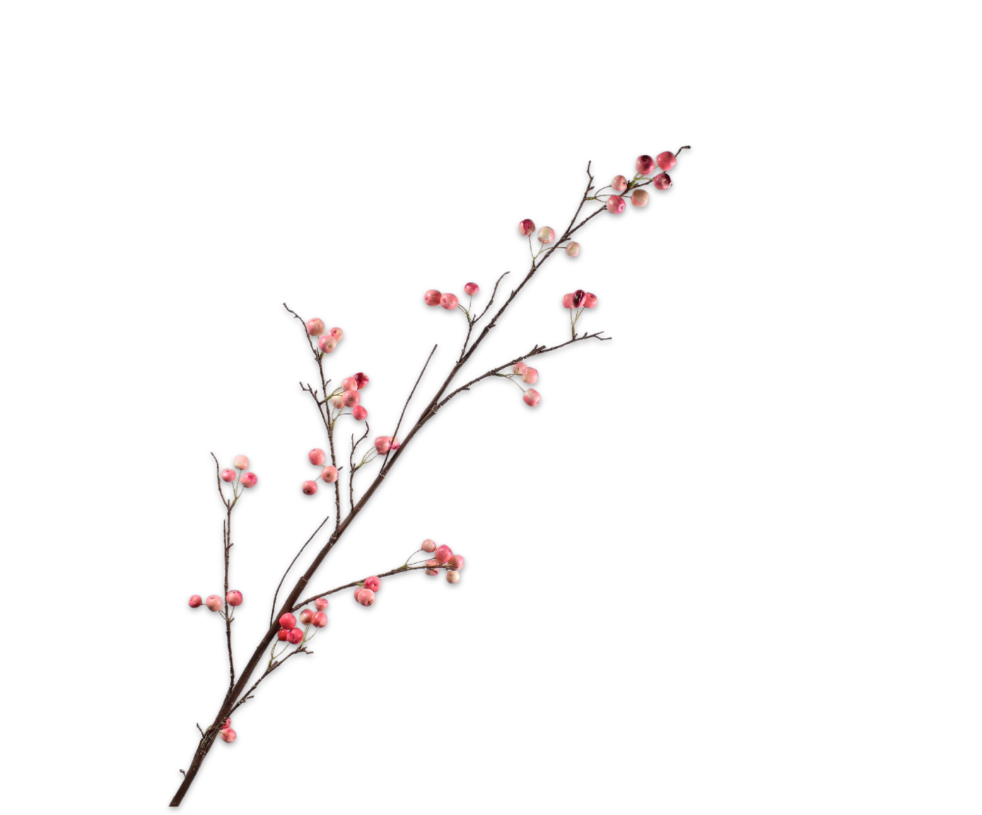 Silk ka appeltak