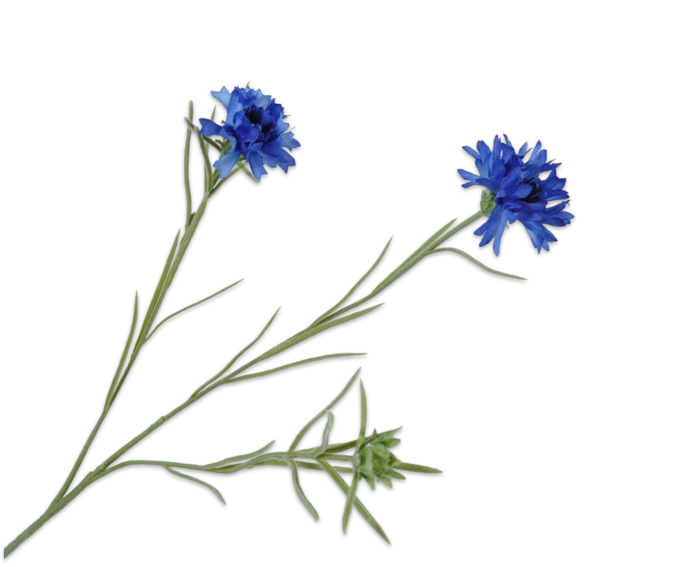 Silk ka korenbloem tak blauw