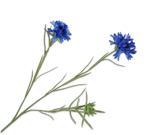 Silk ka korenbloem tak blauw