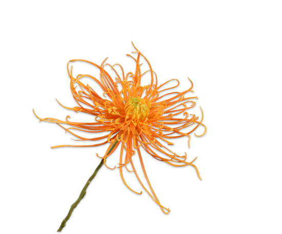 Silk ka chrysant steel geel/oranje