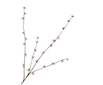 Silk ka perzik bloesem lavendel