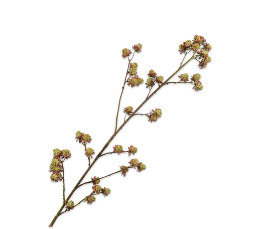 Silk ka bramentak groen