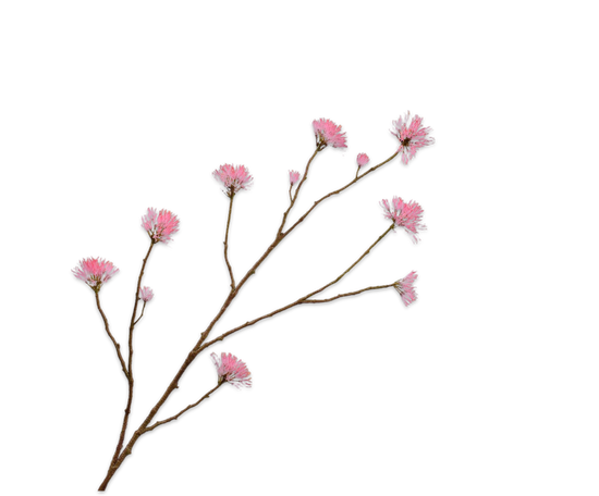 Silk ka bloesem tak roze