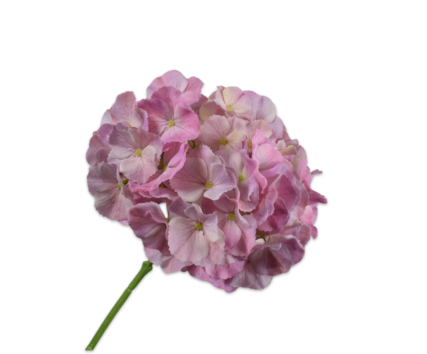Silk ka hortensia lila roze