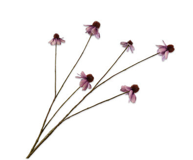 Silk ka rudbeckia lavendel