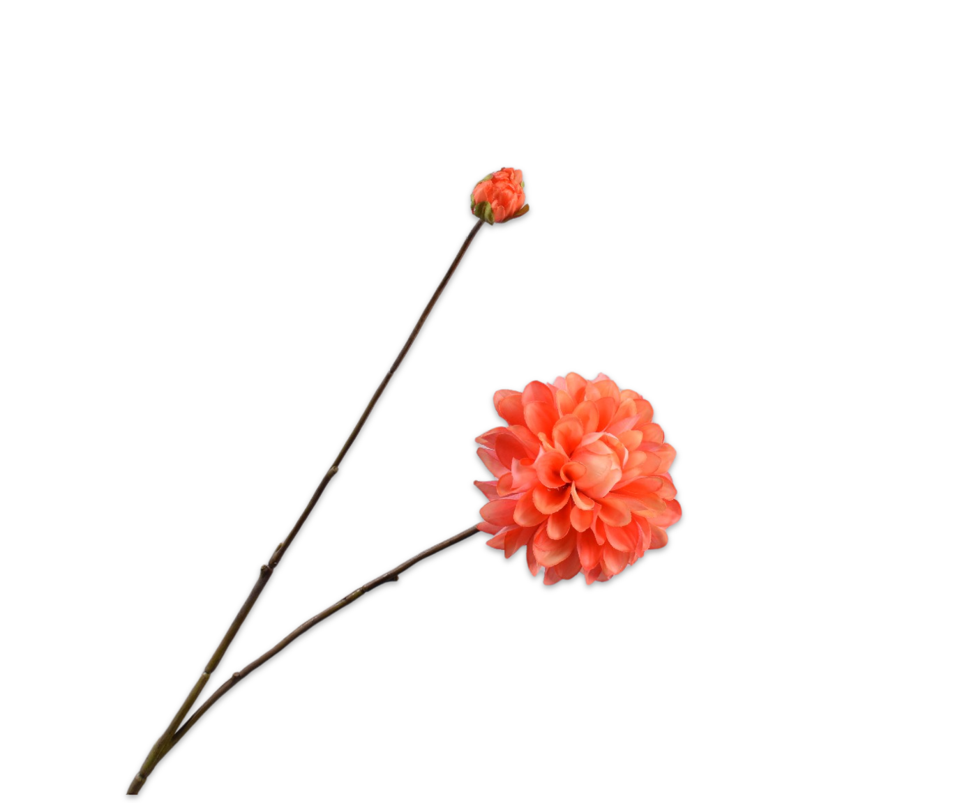 Silk ka real touch dahlia tak oranje