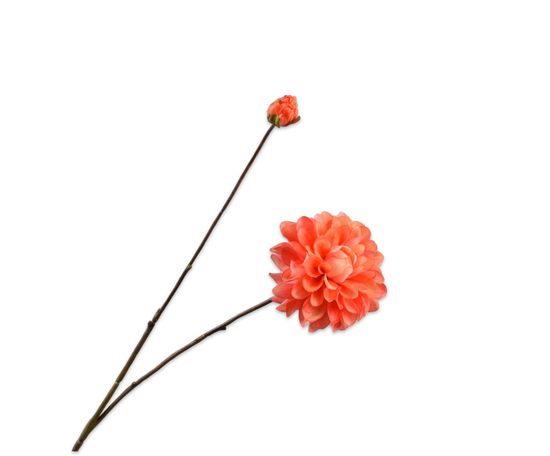 Silk ka real touch dahlia tak oranje