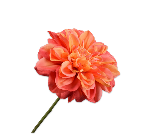 Silk ka dahlia tak flame