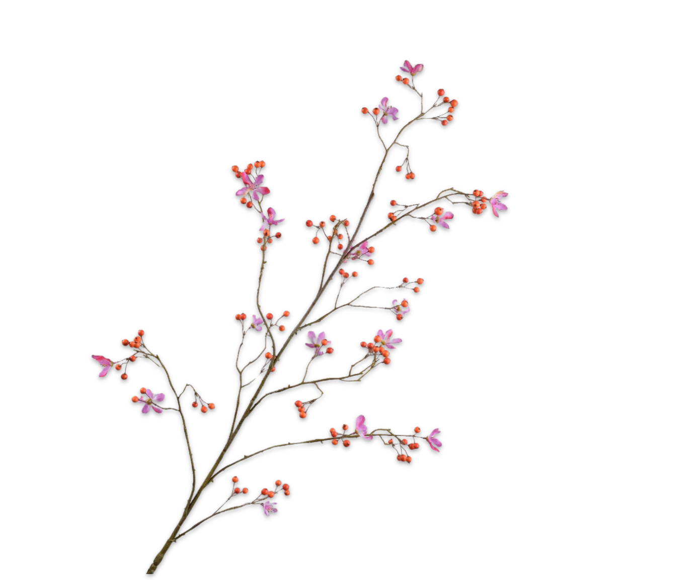 Silk ka bessentak  oranje/roze