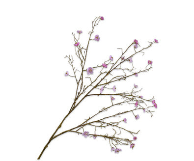 Silk ka bloesem tak roze